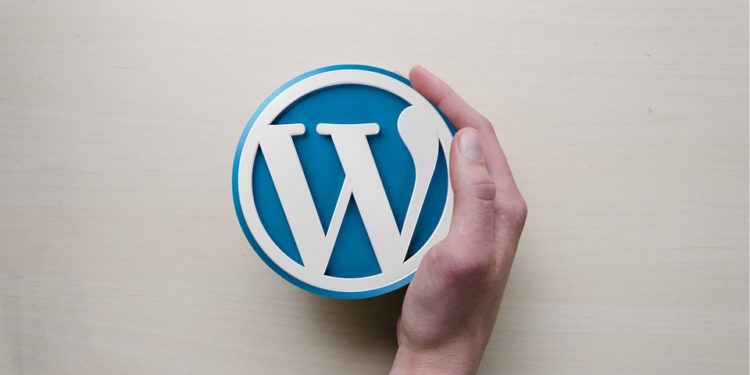 Setup Your First WordPress Website In Under 20 Minutes